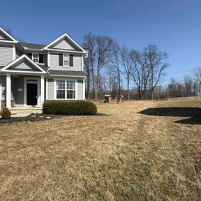 Leaf Removal by Luxury Finish Lawn care reviewed on April 19, 2022