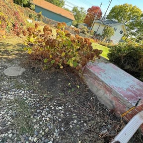 Flower Bed Weeding by Bear foot lawns reviewed on June 24, 2025