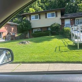 Bush Trimming by Jose Landscaping. reviewed on June 19, 2025