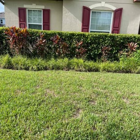 Bush Trimming by Mike's lawn service reviewed on October 11, 2022