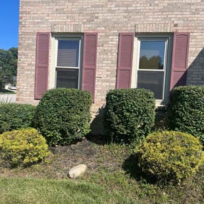 Bush Trimming by Legit Lawn Care Plus reviewed on October 13, 2021