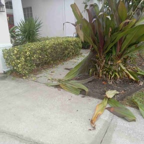 Bush Trimming by 5K Landscape reviewed on April 2, 2025