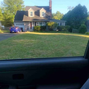 Bush Trimming by Just us landscaping LLC reviewed on May 17, 2022