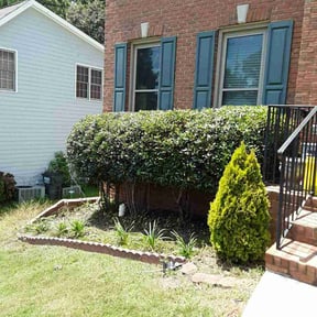 Weeding by Clyde&#039;s outdoor pros reviewed on June 28, 2025