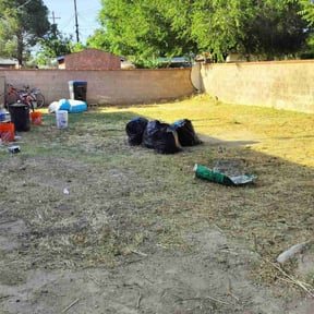 Cleanups by Green Juniper reviewed on June 9, 2022