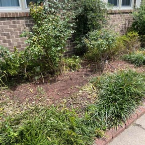 Flower Bed Weeding by LSLTDallas/FortWorthTruGreen reviewed on May 19, 2025