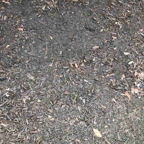 Flower Bed Weeding by Martin's Landscaping reviewed on June 21, 2022