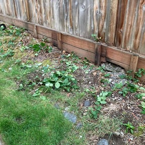 Bush Trimming by Cuadra Property Management reviewed on July 8, 2022