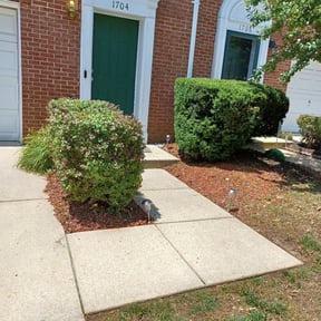 Bush Trimming by D&amp;D All In One reviewed on September 3, 2024