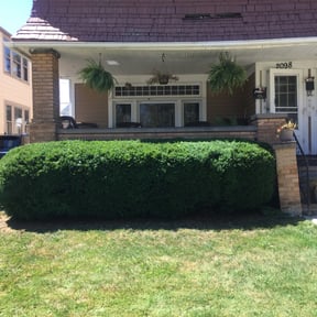 Bush Trimming by Texas Pride Lawncare reviewed on November 8, 2021