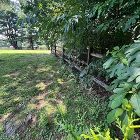 Weed Pulling by Clean Cut Lawn Service reviewed on July 26, 2022