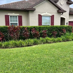 Bush Trimming by All Mowing Services reviewed on July 1, 2022