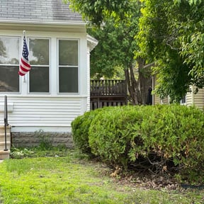 Bush Trimming by Midwest Ecoscapes reviewed on May 8, 2025
