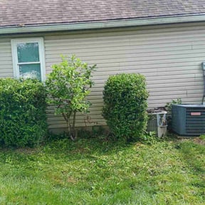 Bush Trimming by L and L Lawncare reviewed on August 3, 2022