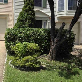 Bush Trimming by Get it done handyman service and custom design llc reviewed on July 12, 2022