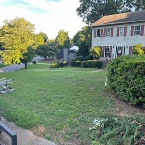 Bush Trimming by MVP Lawn & Landscaping reviewed on July 20, 2022