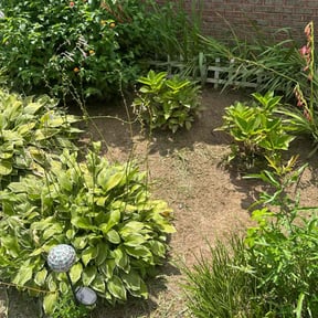 Flower Bed Weeding by King's Scapes of Atlanta LLC reviewed on November 22, 2024