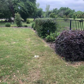 Bush Trimming by Lawns and more reviewed on April 22, 2022