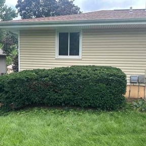 Bush Trimming by POLY- CLEAN LLC reviewed on May 2, 2025