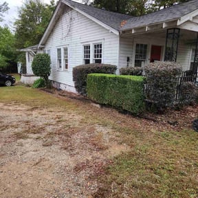 Bush Trimming by T &amp;O Landscape Service LLC reviewed on June 20, 2024