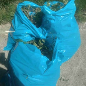 Cleanups by Cutter J’s Lawn Service reviewed on October 1, 2020