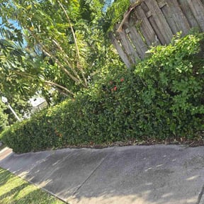 Bush Trimming by Ethan lawn care reviewed on January 22, 2023