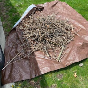 Cleanups by Mow Masters Llc reviewed on May 7, 2025