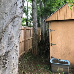 Cleanups by Haines Lawn Care reviewed on June 27, 2025