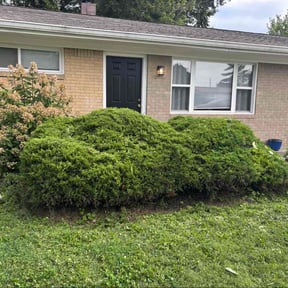 Bush Trimming by Greenland Landscaping and Tree Service reviewed on March 24, 2025