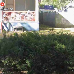 Bush Trimming by do it all lawn care reviewed on July 15, 2022