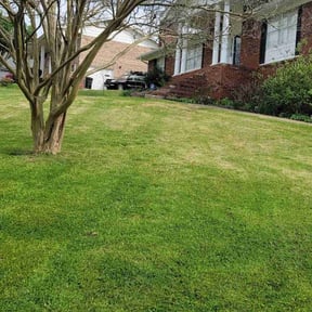 Bush Trimming by Yardwork Plus / We Mow Grass, inc reviewed on October 3, 2024