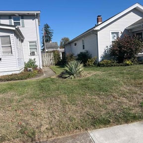 Bush Trimming by Woodruff Contracting LLC. reviewed on July 15, 2022