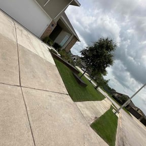 Bush Trimming by Wright choice landscaping reviewed on April 7, 2022