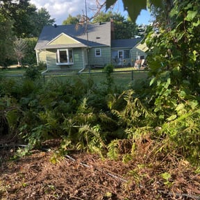 Cleanups by Barkley's Landscaping, LLC reviewed on May 16, 2022