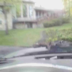 Cleanups by Gardens Of eDen lawn service reviewed on March 27, 2022