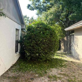 Bush Trimming by Ready Set Mow reviewed on February 15, 2025