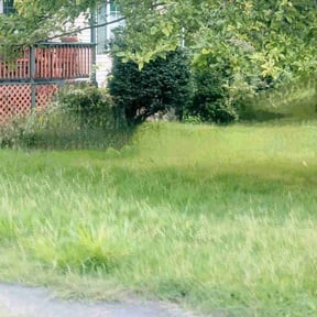 Flower Bed Weeding by FS Lawncare reviewed on February 27, 2025