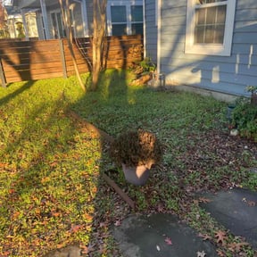 Leaf Removal by The Swole Life Corporation  dba Swole &amp; Bold Lawn Grooming reviewed on April 10, 2025