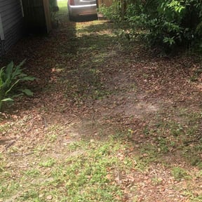 Bush Trimming by Garden Lawn Care reviewed on July 15, 2022
