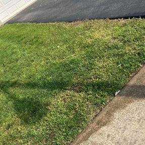Weeding by Professional lawn care reviewed on May 19, 2022