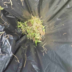 Cleanups by Michael McDaniel reviewed on July 22, 2022