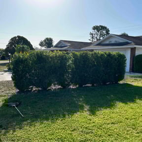 Bush Trimming by Edward's Lawn Care reviewed on July 22, 2021
