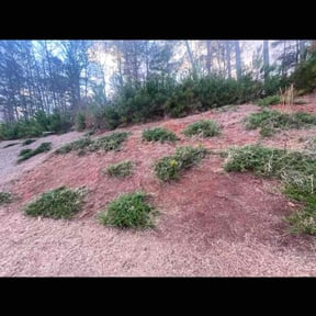 Weeding by Greene Enterprise reviewed on April 7, 2025