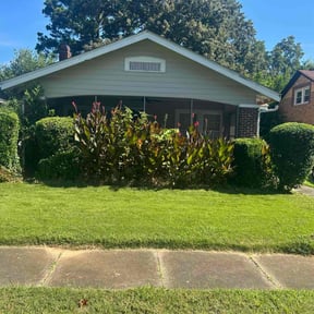 Bush Trimming by LSLTDallas/FortWorthTruGreen reviewed on July 29, 2023