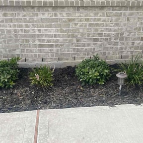 Flower Bed Weeding by Primecut Lawn Service reviewed on June 25, 2025