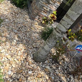 Flower Bed Weeding by RTH Lawn Service & Landscaping LLC reviewed on July 6, 2025
