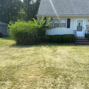 Bush Trimming by Daniel's lawn care service LLC reviewed on June 22, 2022