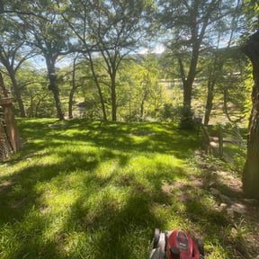 Cleanups by Emerald Lawns reviewed on February 27, 2025