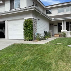 Flower Bed Weeding by Terra Verde Landscape &amp; Design reviewed on July 8, 2025