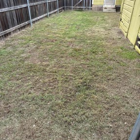 Cleanups by NMH Renovations&landscaping LLC reviewed on May 12, 2025